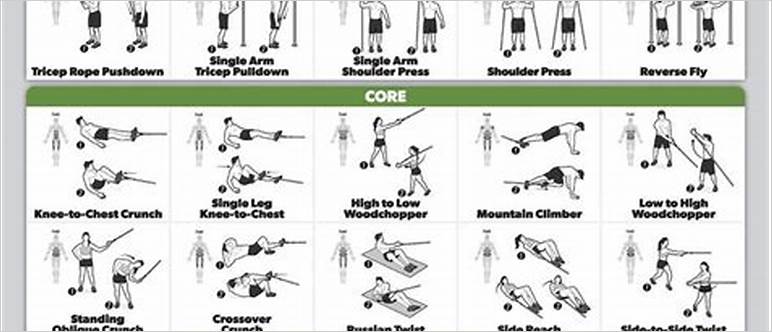 Cable machine exercises chart